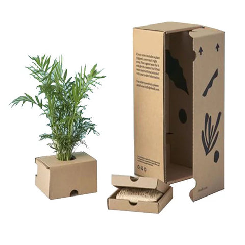 Florist Live Plant Box